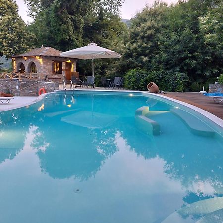 Amalthia Traditional Guesthouse تساغارادا المظهر الخارجي الصورة