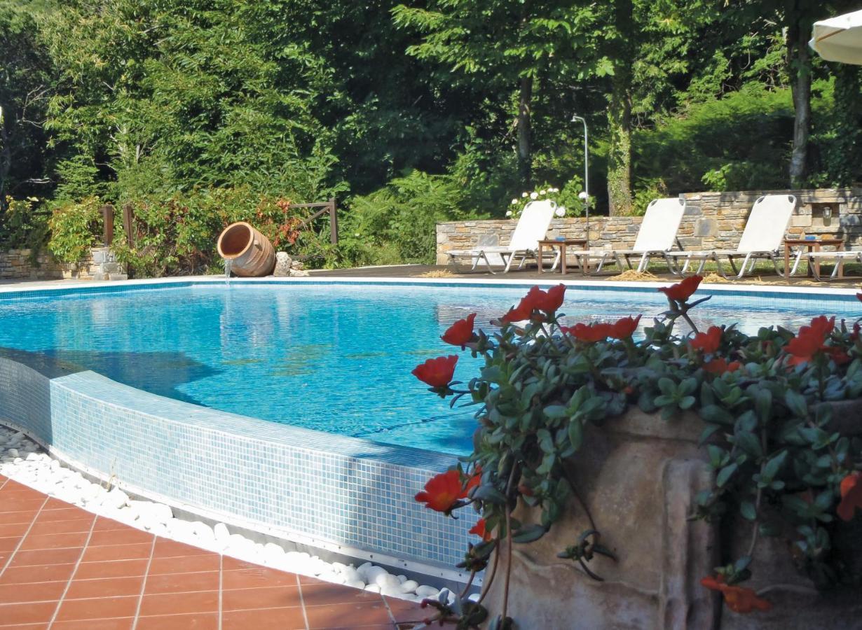 Amalthia Traditional Guesthouse تساغارادا المظهر الخارجي الصورة