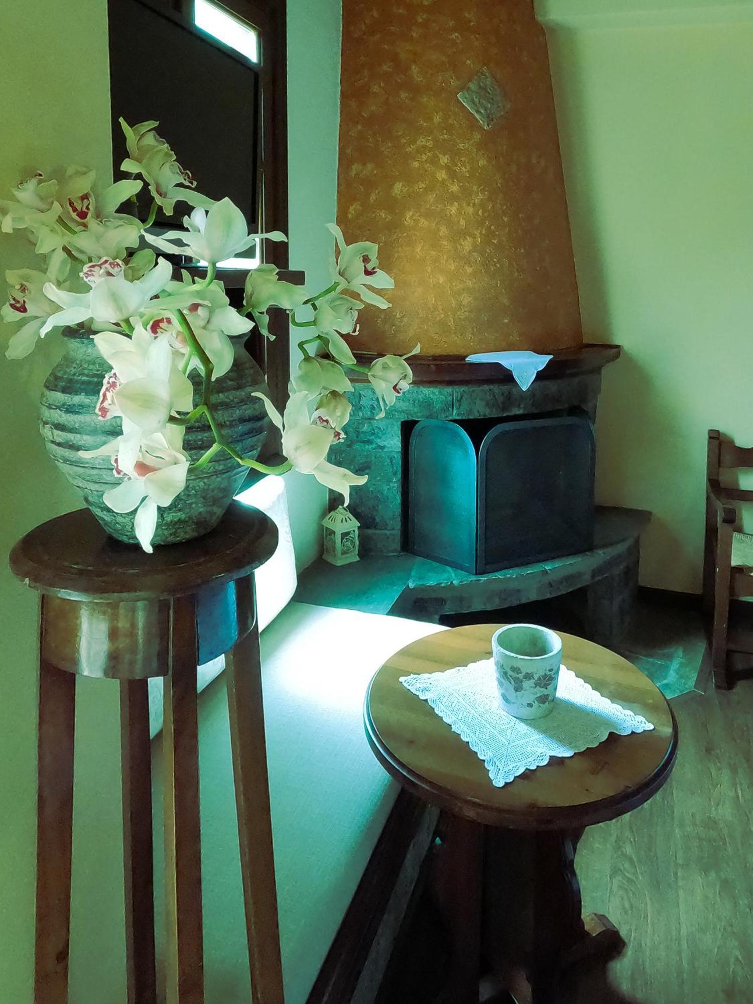 Amalthia Traditional Guesthouse تساغارادا الغرفة الصورة